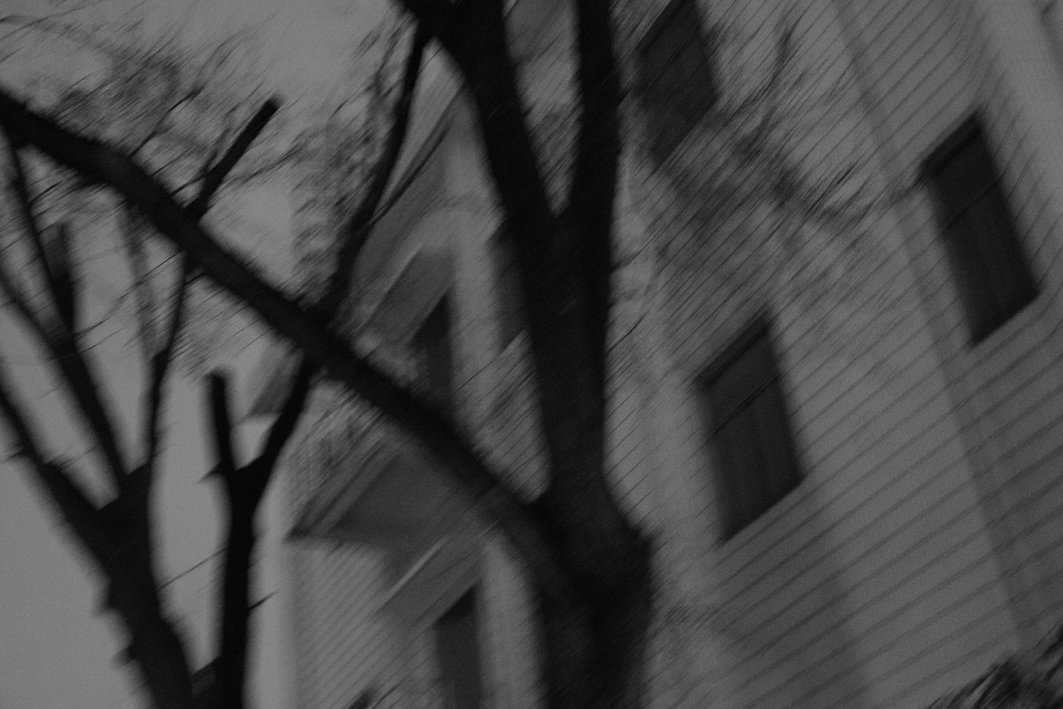 上海 2020 image 2